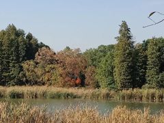 -东湖落雁景区