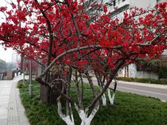 -成都市活水公园