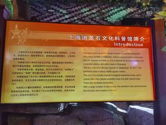 -游龙石文化科普馆