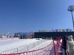 -沈阳奥体冰雪嘉年华