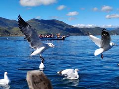 -丽江泸沽湖景区