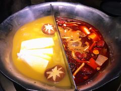 红颜花胶鸡锅-湊湊火锅·茶憩(石家庄万象城店)
