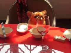 -碧丽宫大酒店(召稼楼店)