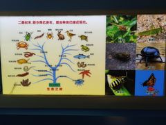 -上海昆虫博物馆