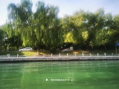 -皇家御河游(紫御湾码头)