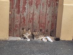 -颐和路民国时期公馆风貌区