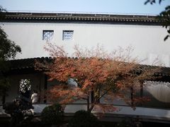 -秋霞圃