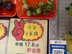 -马陆小张葡萄园农家乐