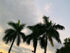 -亚龙湾中心广场
