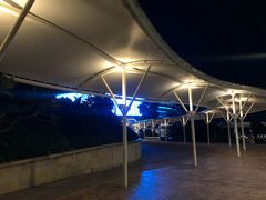 -珠海横琴长隆《卡卡虎奇遇记》