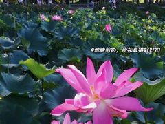 -颐和园