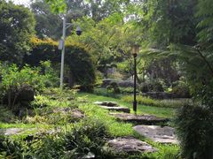 -东莞植物园