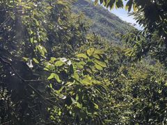-罗田薄刀峰风景区