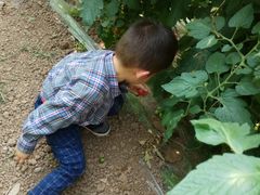 -万源龙顺度假庄园生态观光园