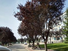 -西北农林科技大学(北校区)