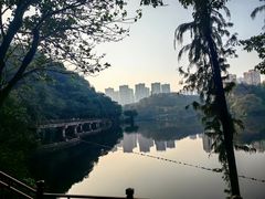 -重庆彩云湖湿地公园