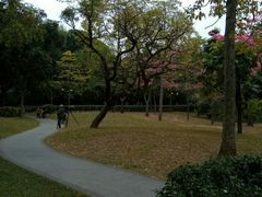 -晓港公园