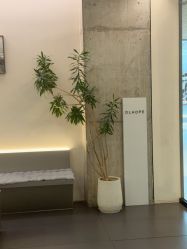 -DL HOPE造型