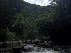 -少华山国家森林公园