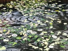 -龙达温泉生态城
