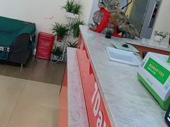 -7天连锁酒店·武汉徐东湖北大学店