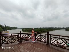 -东寨港红树林旅游区