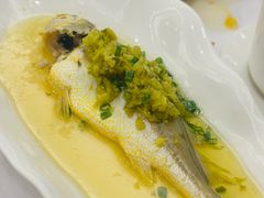 -骏莱海鲜鱼港(五角场店)