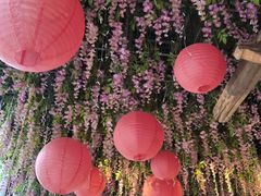 -食欲老院子荆芥疙瘩汤(经五路店)