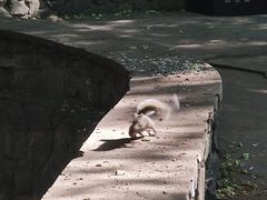 -香山公园
