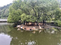 -黔灵山公园