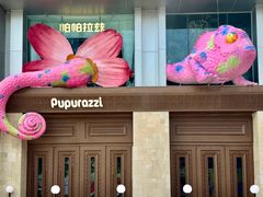 -帕帕拉兹宠物(亚洲旗舰店)