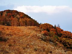 -白草畔自然风景区