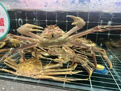 -巧克力渔家.小船海鲜胶东菜(万平口店)