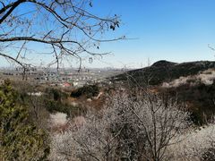 -北京西山国家森林公园