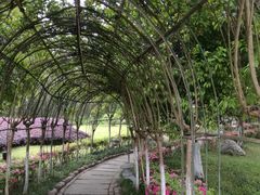 -雅安楠水阁温泉酒店