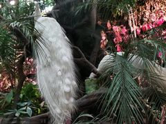 -正佳雨林生态植物园