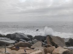 -广东惠东海龟国家级自然保护区