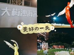 -大梅沙海滨公园