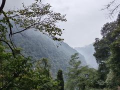 -峨眉山风景名胜区
