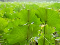 -WhaleSports户外水上运动俱乐部(朝阳公园店)
