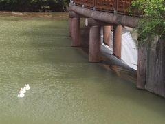 -天台山琼台仙谷景区
