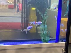 -名善山珍·野生菌汤锅(文殊院店)