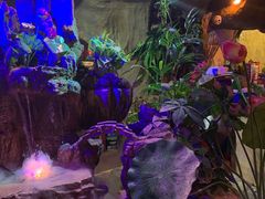 -醉小酒馆·川菜·江湖菜·重庆菜(观音桥旗舰店)