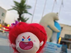 -西安曲江海洋极地公园