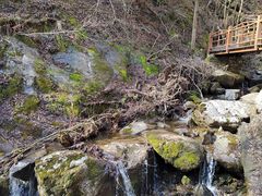 -青峰峡国家森林公园