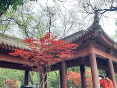 -莲湖公园