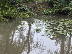 -洛阳市隋唐城遗址植物园