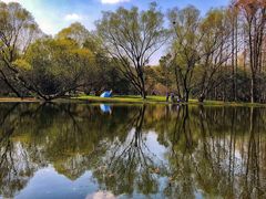 -上海共青森林公园