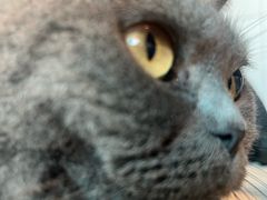 -春笙食堂.丼饭拉面寿司(GOGO新天地店)