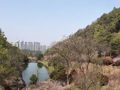 -桃花岭景区
